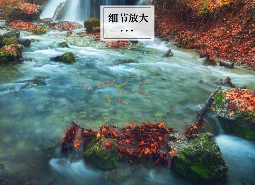 尘埃3